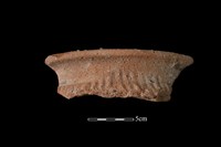 藏品(陶罐)的圖片